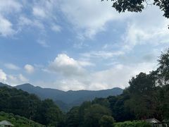 -广州市石门国家森林公园