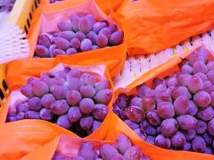 -四季果园(先威路店)