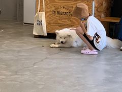 -VOYAGE COFFEE 咖啡烘焙工坊店(798艺术区店)