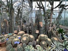 -国家植物园南园