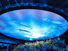 -陕西自然博物馆