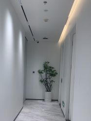 点击看大图 -玛莲朵·海菲秀冰珀科