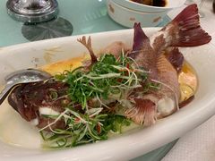 -佛山皇冠假日酒店-西餐厅
