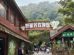 -野象谷景区