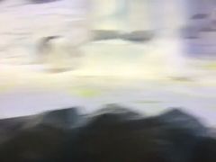 -芜湖新华联大白鲸海洋公园