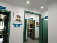 -贝利宠物医院·骨科·眼科·肿瘤转诊中心(南坪诊疗中心)