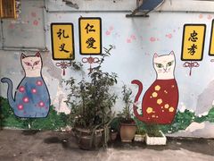 -猫咪博物馆(顶澳仔猫街店)