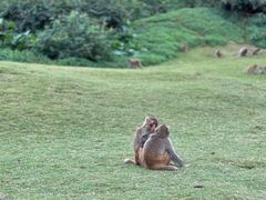 -海南热带野生动植物园