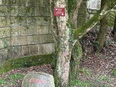 -普陀山风景区-佛顶山