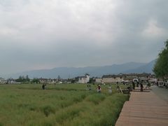 -喜林苑·稻田餐厅(品相府店)