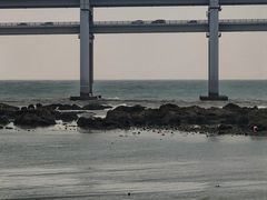 -黑石礁公园