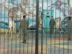 -新疆天山野生动物园