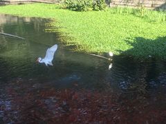 -普陀山风景名胜区-法雨禅寺