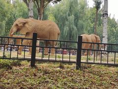 -石家庄市动物园