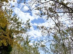 -汉景帝阳陵博物院