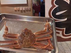 -千代武日本料理(开发区店)
