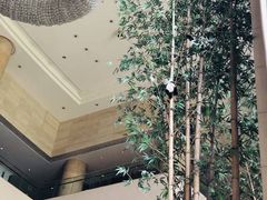 -成都保利公园皇冠假日酒店(熊猫基地店)