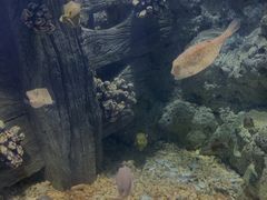 -福州罗源湾海洋世界旅游区