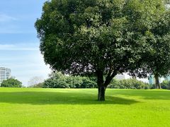 -重庆中央公园(渝北区)