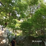 想清凉，来这里