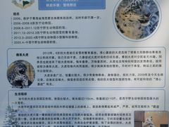 -青藏高原野生动物园