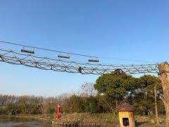 -上海野生动物园
