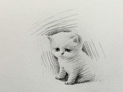 -森孚机器人编程·STEM积木·等级考试(虹口足球场中心)