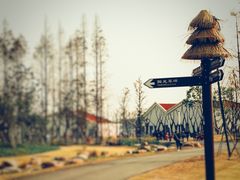 -上海长兴岛郊野公园