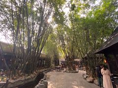 -勐丽梦兰傣味餐厅