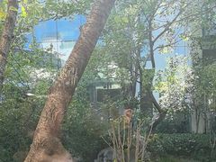 -广富林宰相府酒店·水云间