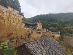 -杨家堂村