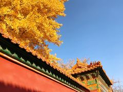 -故宫博物院(故宫)