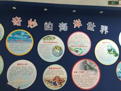 -上海海洋大学鱼文化博物馆(军工路校区)