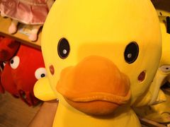 -万达广场(东莞厚街店)