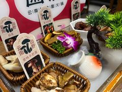 -菌彩云南野生菌火锅(新亚洲店)