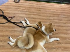 -YCHL Studios健身工作室(市二宫店)