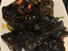 爽口木耳-严厨老坛酸菜鱼(吴江万宝店)