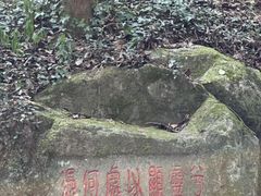 -宁波市保国寺古建筑博物馆