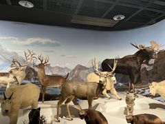 -陕西自然博物馆