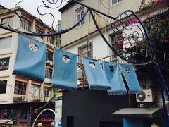 -猫咪博物馆(顶澳仔猫街店)