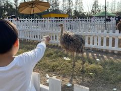 -前小桔亲子创意农场·草莓采摘·露营烧烤