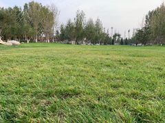 -回龙观体育文化公园