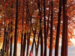 -云龙湖旅游景区