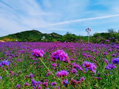 -西海岸生态观光园