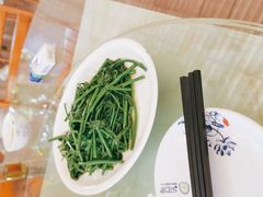 -兴隆槟榔园休闲农庄