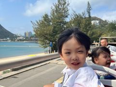 -Big Bus Tours 敞篷观光巴士