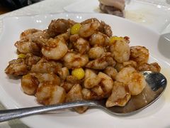 鸡里蹦-丁老爷子苏香圆