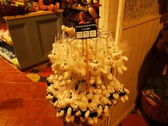 -济州岛泰迪熊博物馆