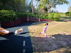 -上海崇明金茂凯悦酒店