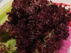 -凤凰园烤鸭店·唐山菜·传承花椒肉(老唐丰路店)